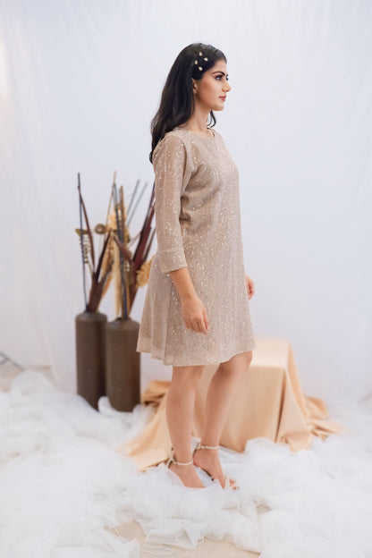 Champagne Sequin Shift Dress