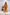 Mustard & Coral Bow Co-Ord Set (Ready to Ship)